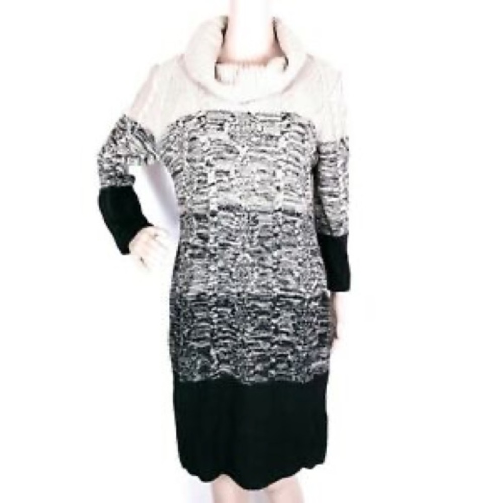 NWT plus size sweater dress With turtleneck